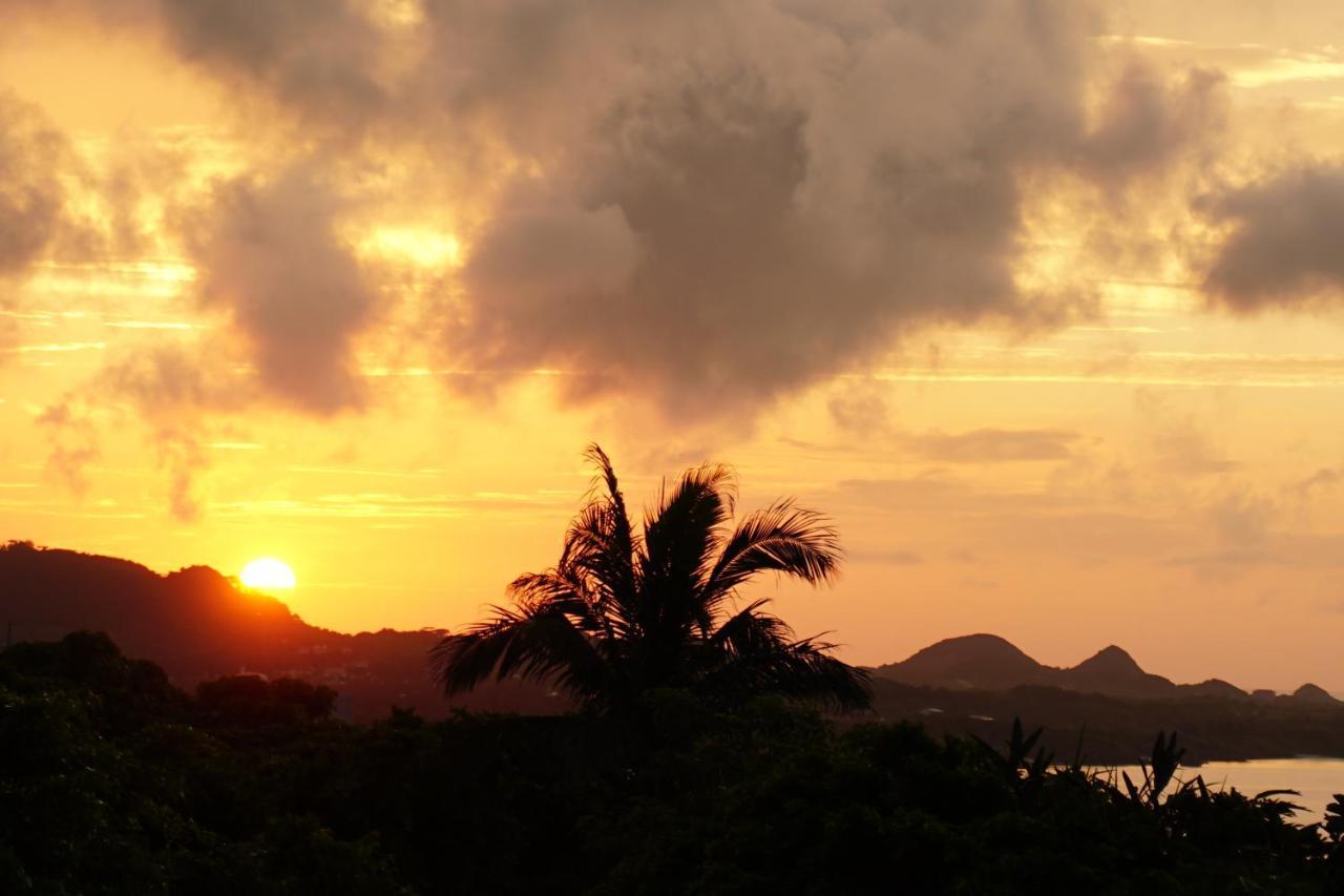 Vacances a la mer Ishigaki Ishigaki  Bagian luar foto